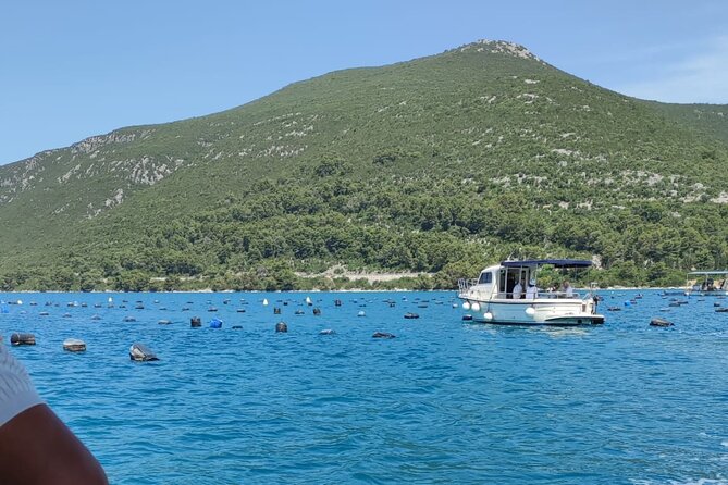 Ston Seafood & Pelješa Wine Boat Tour with Oysters and Mussels - What Makes the Hosts Matter: The Human Side of Seafood