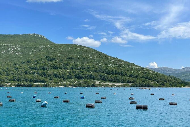 Ston Seafood & Pelješa Wine Boat Tour with Oysters and Mussels - Comfortable Day Planning: Weather, A/C, and a Realistic Schedule