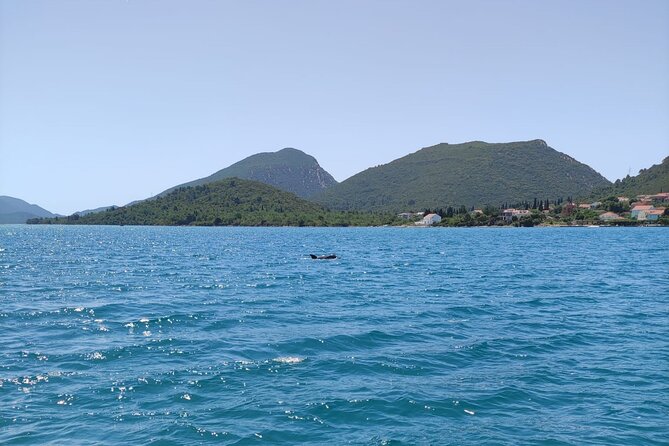Ston Seafood & Pelješa Wine Boat Tour with Oysters and Mussels - Who Should Book This Tour (and Who Might Skip It)