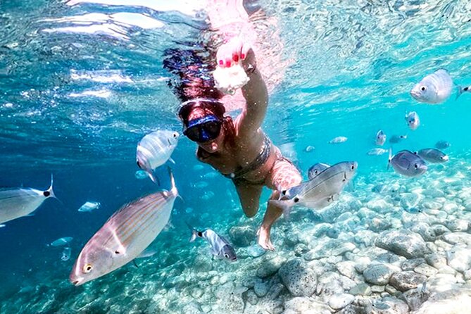 Stop on Island & National Park Day Cruise with Lunch Drinks - Lunch and unlimited drinks: the comfort factor onboard