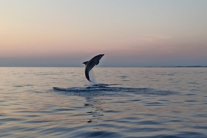Sunrise Dolphins & Fishermen at Work speedboat tour in Rovinj - Sunrise Dolphins & Fishermen at Work: The setting that makes it special
