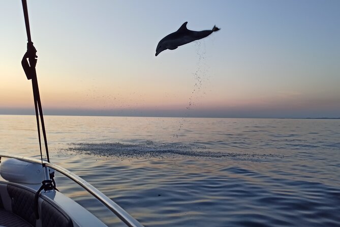 Sunrise Dolphins & Fishermen at Work speedboat tour in Rovinj - Getting on board: Pickup details that can save you stress