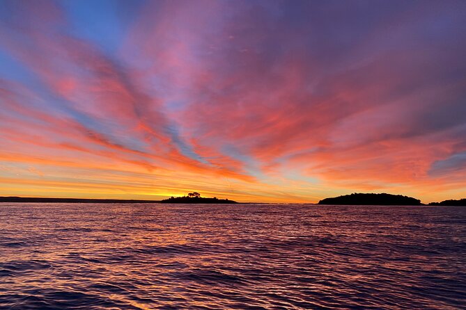Sunrise Dolphins & Fishermen at Work speedboat tour in Rovinj - The skipper’s role: information that makes sightings click