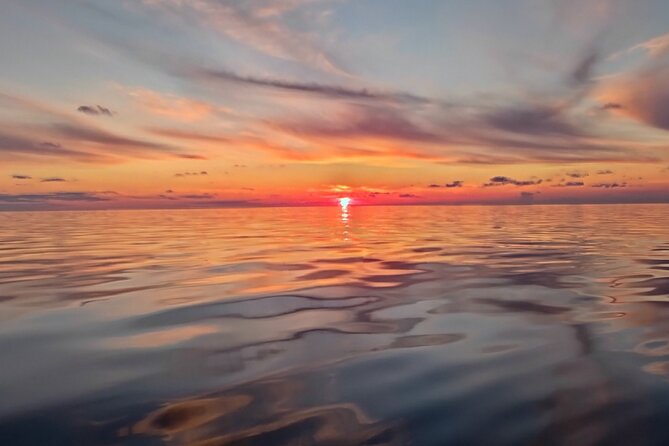 Sunset Dolphin Watching Boat Tour from Vrsar - Key things I’d zero in on