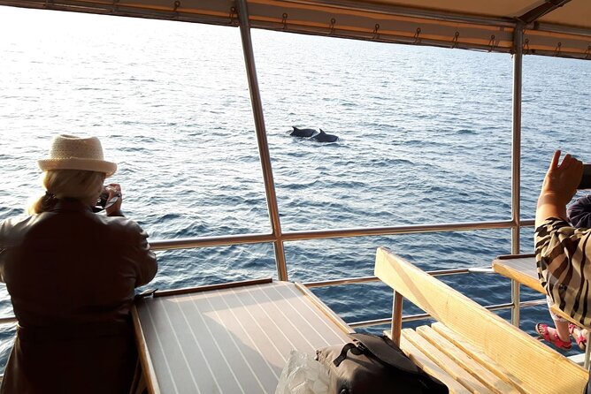 Sunset Dolphin Watching Boat Tour from Vrsar - Price and value: $30.04 for two hours of sunset and wildlife