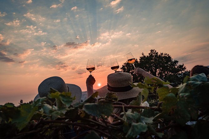 Sunset wine tasting in vineyard - Craft wine, liqueurs, and the family stories you’ll remember