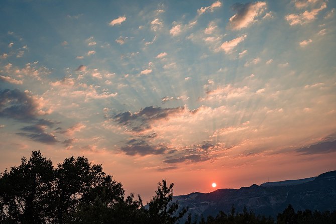 Sunset wine tasting in vineyard - Price and value: what you’re paying for and why it adds up