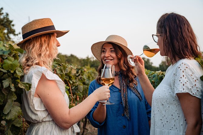 Sunset wine tasting in vineyard - The vineyard walk in Malaštica’s old forest: what you actually do