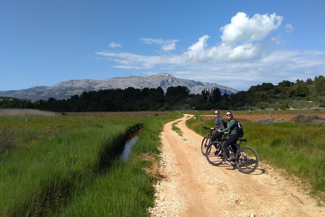 Taste of Korcula by Bike Tour | Korcula Wine & Food Tasting - How This Korčula Bike-and-Tasting Day Actually Feels