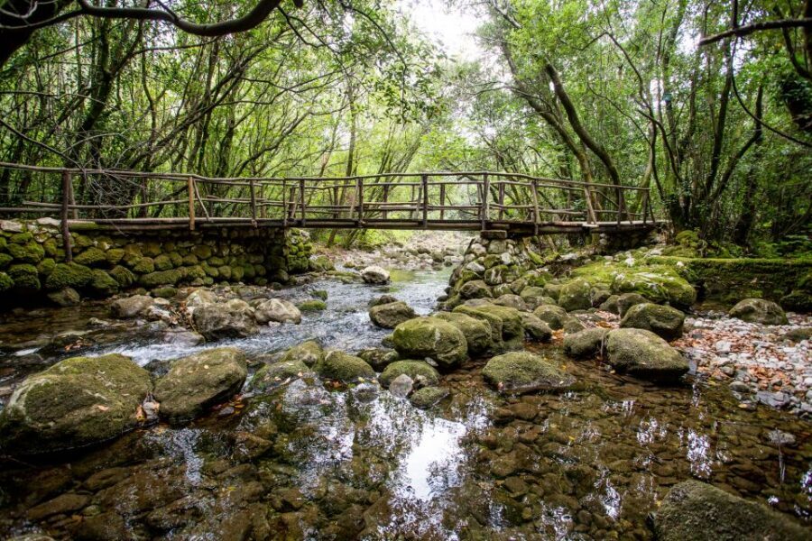 Taste & Tradition of Dubrovnik Countryside - Key things to know before you go