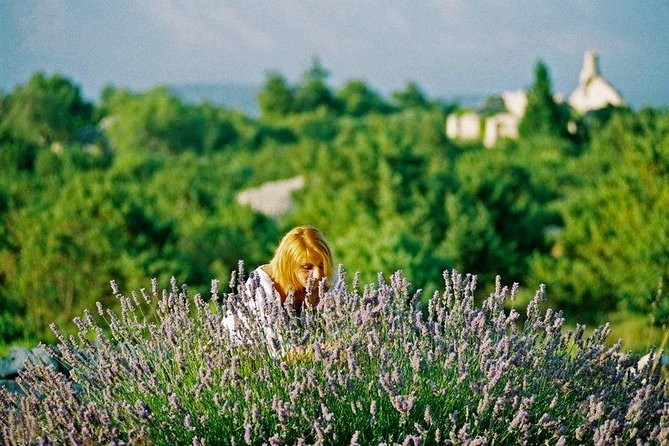 The Best of Hvar Small Group with Wine Tasting and Local meal - Tvrdalj fortress and Petar Hektorović’s fish pond
