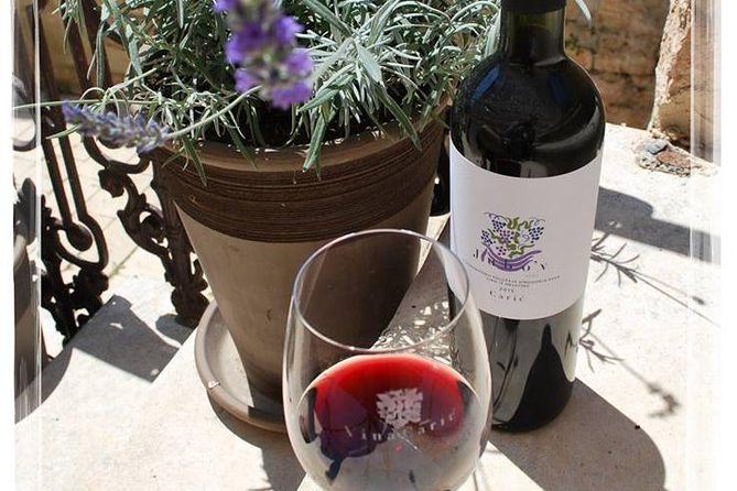 The Best of Hvar Small Group with Wine Tasting and Local meal - Starting on Hvar: pickup, timing, and how the day flows