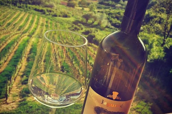 The Dionysus Tour - Wine Tasting at Plešivica and Samobor visit - Key things to know before you go