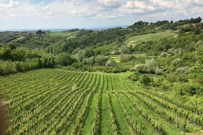 The Dionysus Tour - Wine Tasting at Plešivica and Samobor visit - A 6-Hour Wine-and-Samobor Day With Easy Zagreb Pickup