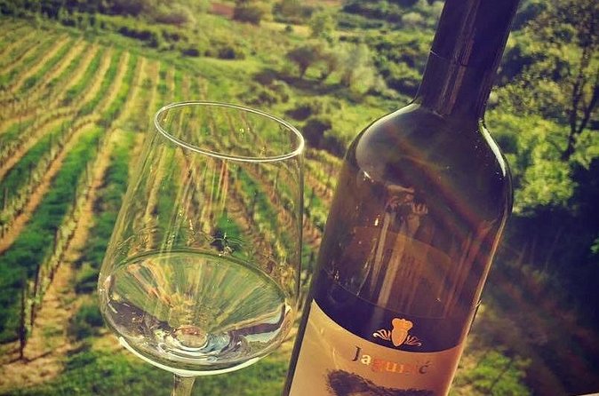 The Dionysus Tour - Wine Tasting at Plešivica and Samobor visit - My Booking Advice: Who Should Say Yes (and Who Should Confirm First)