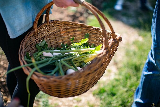 Traditional Cooking Class in Dubrovnik Countryside - Who this is best for (and who might not love the format)