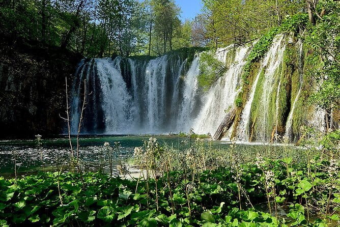 Transfer From Zadar Airport to Town Zadar - Who this transfer suits best in Zadar