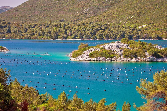 Transfer Split to Dubrovnik with Sightseeing in Ston Town - Walls of Ston: the long defensive structure and what costs extra