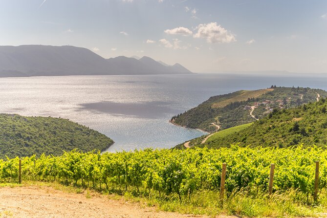 Transfer Split to Dubrovnik with Sightseeing in Ston Town - Mali Ston and the Bota salt-room meal stop