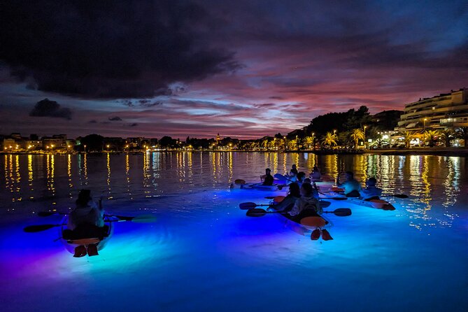 Transparent Kayak Glow Tour in Split - The sea floor viewing: what you can realistically expect to see