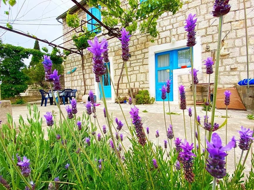 Trogir: Blue Lagoon, Maslinica, and Solinska Bay Boat Tour - What to Bring (and What to Skip) for a Smooth Sea Day