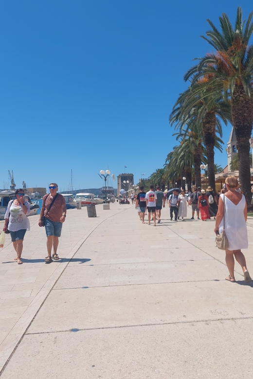 Trogir: City Highlights Guided Walking Tour - Should You Book This Trogir Walking Tour?