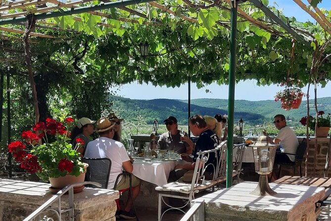Truffle hunting adventure - Pickup, Timing, and Small-Group Comfort in Motovun