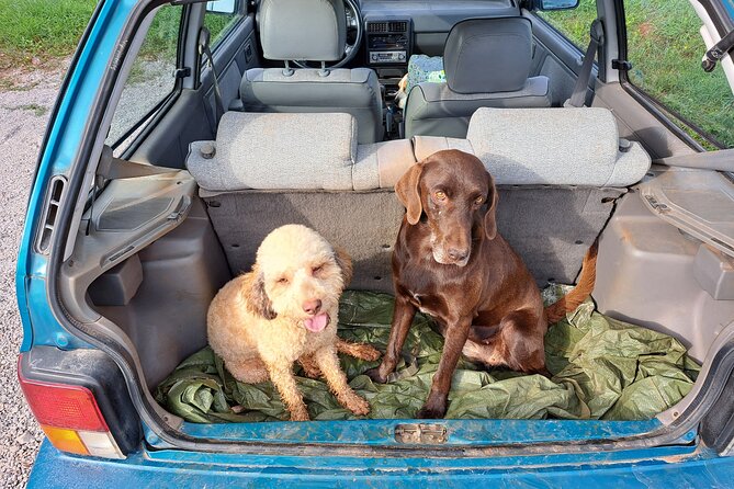 Truffle hunting adventure - What to Pack: Mud Boots, Mosquito Spray, and Dog-Friendly Clothing