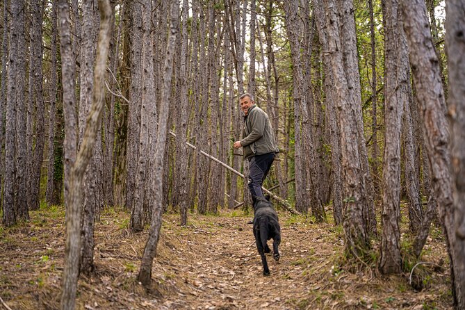 Truffle Hunting and 3-course Truffle Brunch in Motovun - Key highlights to look for