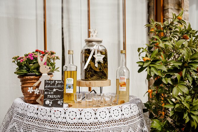 Truffle Hunting and 3-course Truffle Brunch in Motovun - The truffle hunt: one hour with experts and two trained dogs