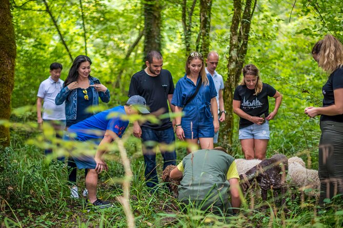 Truffle hunting & cooking tour - 3-course truffle meal: what’s served and why it’s built this way