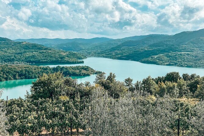 Truffle hunting & cooking tour - Practical tips that will save you time in Istria