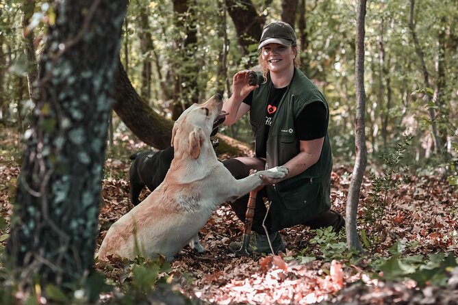 Truffle hunting & cooking tour - The Motovun forest hunt: pace, terrain, and what to expect