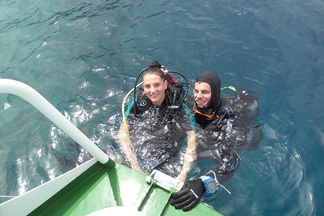 Try Scuba Diving! - Crikvenica/ Krk island - Key things you should know before you go