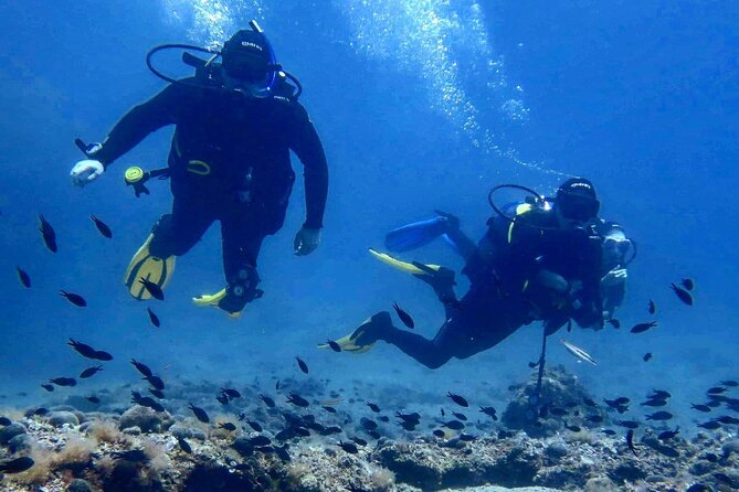 Try Scuba Diving in Split - Key Highlights You’ll Care About