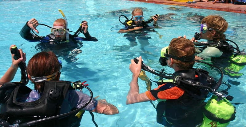 Tučepi: Adriatic Sea Diving Lessons with Guided Dive & Gear - Key Things You’ll Notice Right Away