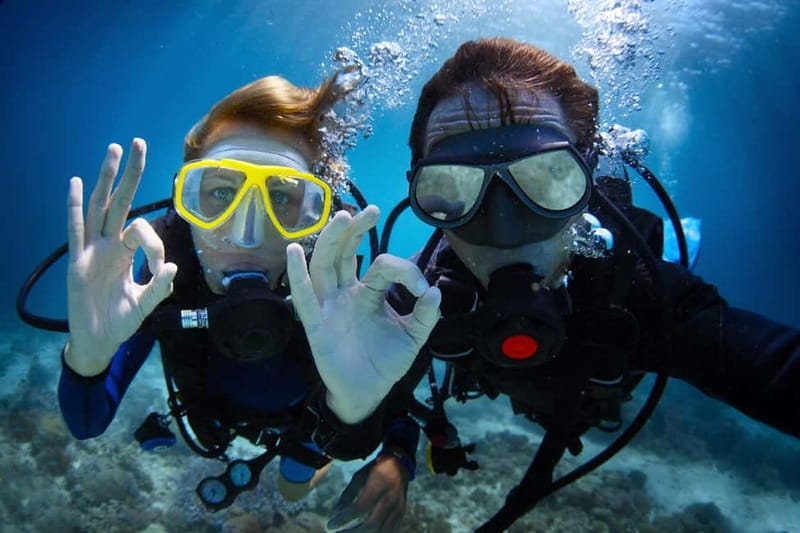 Tučepi: Adriatic Sea Diving Lessons with Guided Dive & Gear - Tučepi Meeting Point: Above Konoba Dvor at 2pm