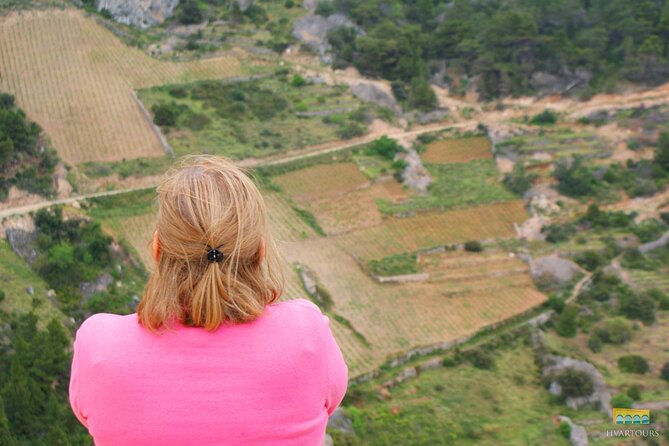 Twice the Wine - Two wineries half day tour, with delicacies - The wine courses and food pairing: what’s included and what to plan for