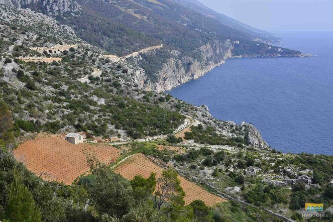 Twice the Wine - Two wineries half day tour, with delicacies - Should you book Twice the Wine on Hvar?