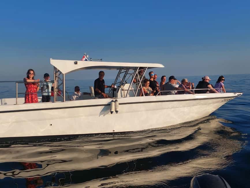 Umag: Dolphinwatching & sunset panorama tour - How the 2-hour Umag dolphin-and-sunset cruise actually plays out