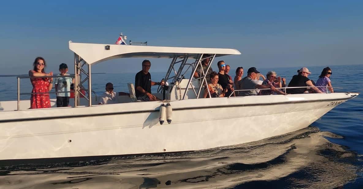 Umag: Dolphinwatching & sunset panorama tour - The Mamma Mia boat: open-sea fun with real comfort (and some limits)