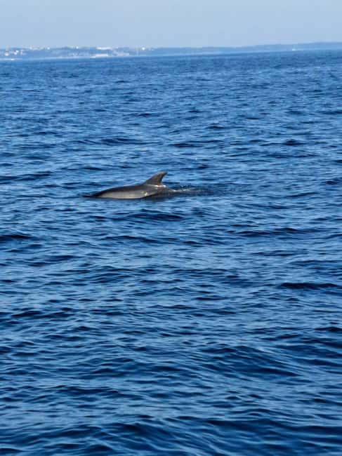 Umag; Premium Private Boat Tour with Captain - Key points at a glance
