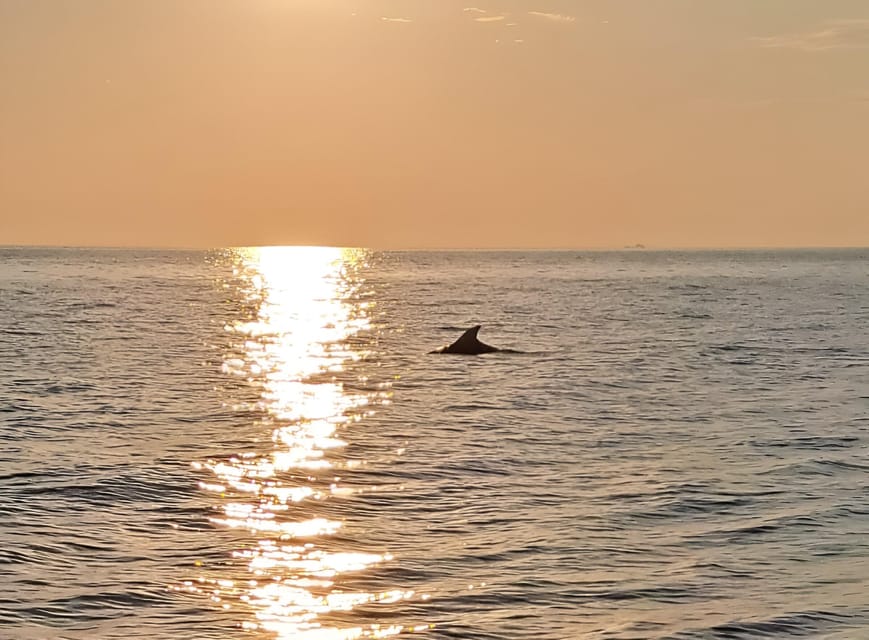 Umag; Premium Private Boat Tour with Captain - The stone reef near Zambratia: what you’re really searching for