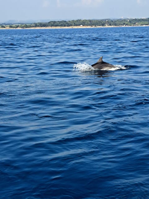 Umag; Premium Private Boat Tour with Captain - Route design: Umag toward the Slovenian border for northern Istrian coastline