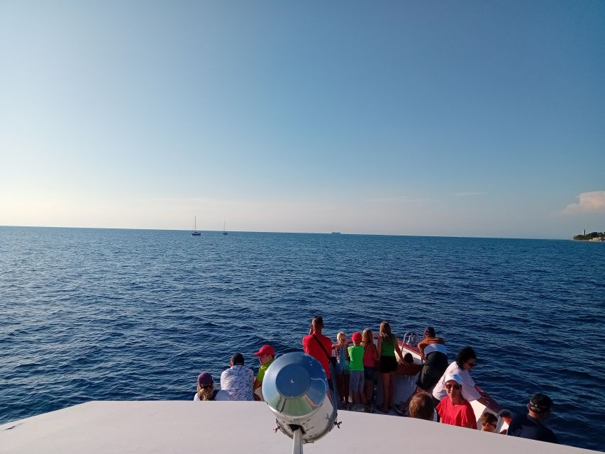 Umag: Sunset Cruise with Dolphin Spotting - Dolphin spotting in the Adriatic: exciting, but not guaranteed