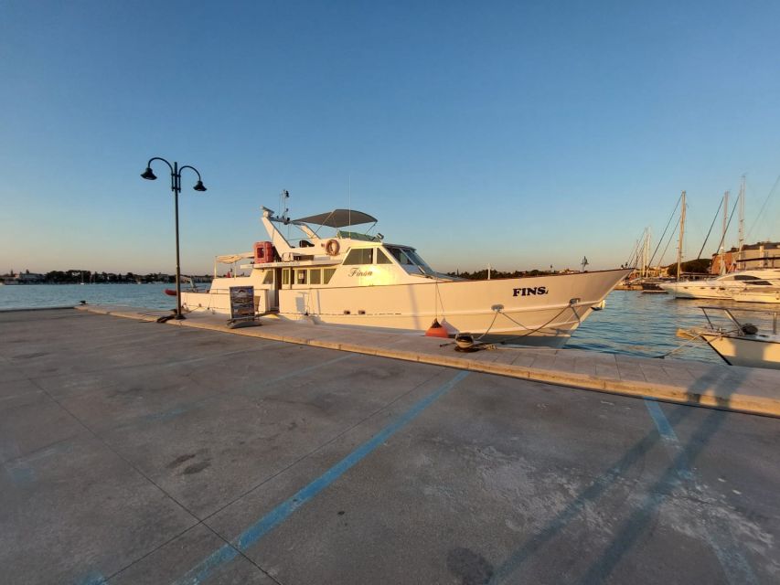 Umag: Sunset Cruise with Dolphin Spotting - Who this cruise is best for (and who should choose something else)