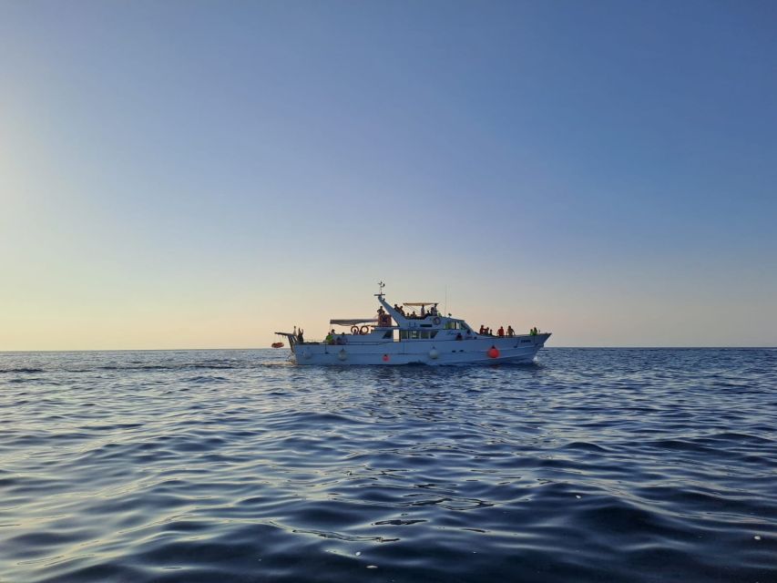 Umag: Sunset Cruise with Dolphin Spotting - The 2-hour timeline: schnapps first, sunset later