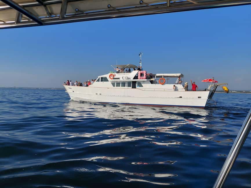 UMAG: Swimming&Panorama / Welcome Drink and Dolphin spotting - Getting Oriented: Umag Pier, Trg Slobode, and What You’ll Need