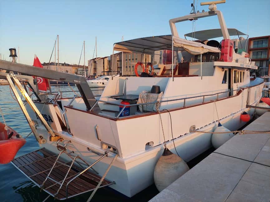 UMAG: Swimming&Panorama / Welcome Drink and Dolphin spotting - Drinks, Costs, and the Real Value of $41