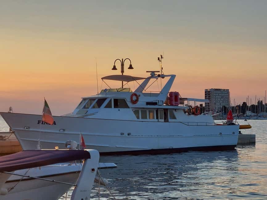 UMAG: Swimming&Panorama / Welcome Drink and Dolphin spotting - Who Should Book This (and Who Should Skip It)